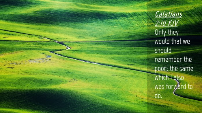Picture 04 - Galatians 2:10 KJV Desktop Wallpaper - Only they would that we should remember the poor; - Desktop Bible Verse Wallpaper