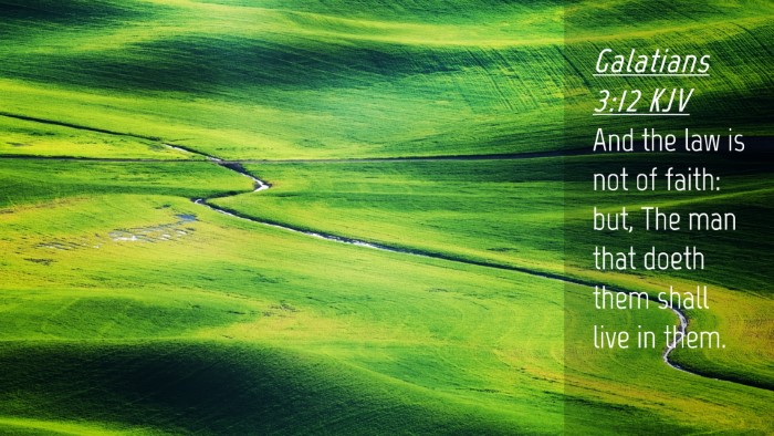 Picture 04 - Galatians 3:12 KJV Desktop Wallpaper - And the law is not of faith: but, The man that - Desktop Bible Verse Wallpaper