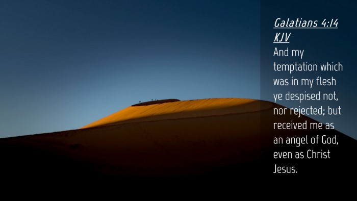 Picture 04 - Galatians 4:14 KJV Desktop Wallpaper - And my temptation which was in my flesh ye - Desktop Bible Verse Wallpaper