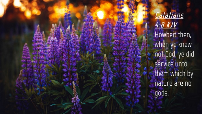 Picture 04 - Galatians 4:8 KJV Desktop Wallpaper - Howbeit then, when ye knew not God, ye did - Desktop Bible Verse Wallpaper