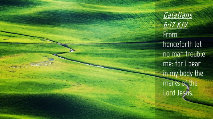 Picture 04 - Galatians 6:17 KJV Desktop Wallpaper - From henceforth let no man trouble me: for I bear - Desktop Bible Verse Wallpaper
