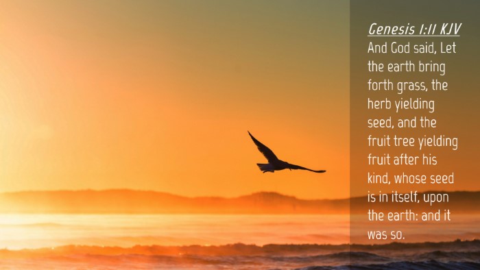 Picture 04 - Genesis 1:11 KJV Desktop Wallpaper - And God said, Let the earth bring forth grass, - Desktop Bible Verse Wallpaper