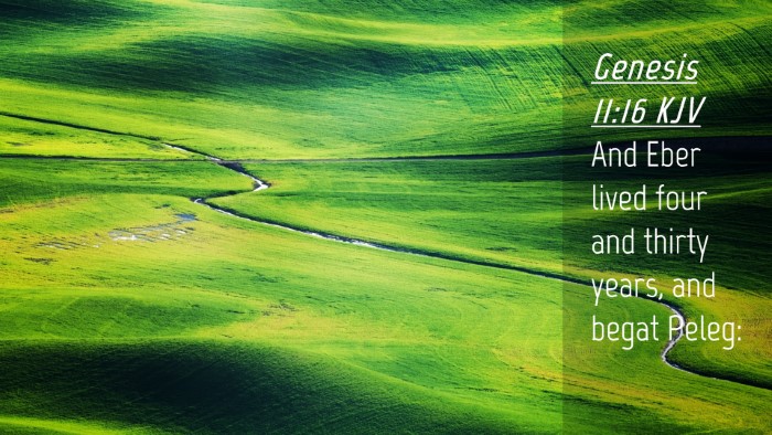 Picture 04 - Genesis 11:16 KJV Desktop Wallpaper - And Eber lived four and thirty years, and begat - Desktop Bible Verse Wallpaper