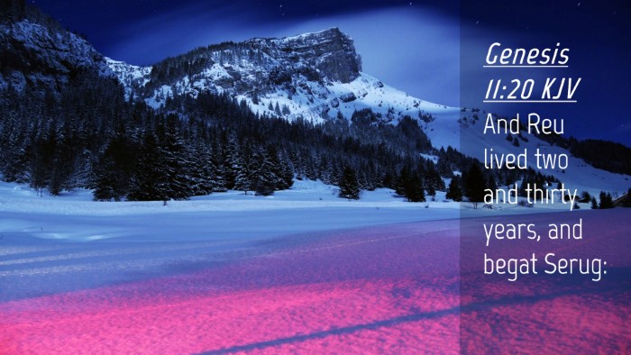 Picture 04 - Genesis 11:20 KJV Desktop Wallpaper - And Reu lived two and thirty years, and begat - Desktop Bible Verse Wallpaper