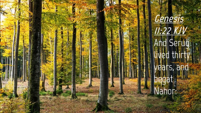 Picture 04 - Genesis 11:22 KJV Desktop Wallpaper - And Serug lived thirty years, and begat - Desktop Bible Verse Wallpaper