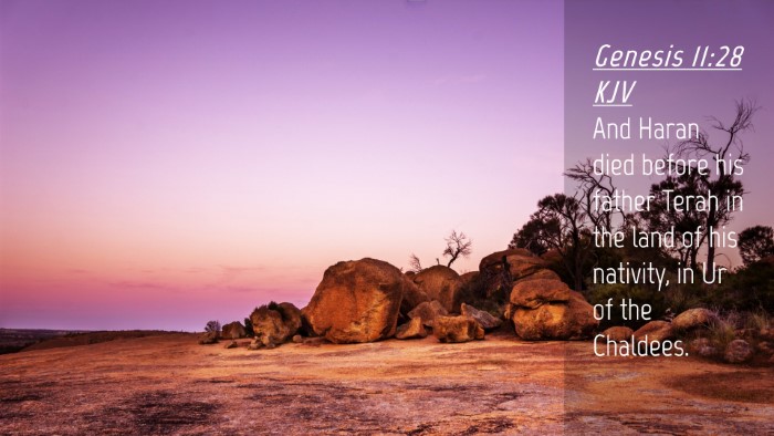 Picture 04 - Genesis 11:28 KJV Desktop Wallpaper - And Haran died before his father Terah in the - Desktop Bible Verse Wallpaper