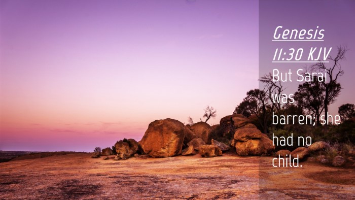 Picture 04 - Genesis 11:30 KJV Desktop Wallpaper - But Sarai was barren; she had no - Desktop Bible Verse Wallpaper