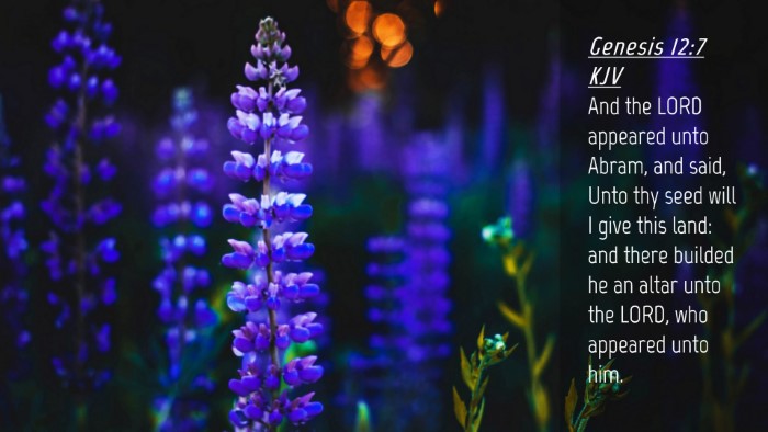 Picture 04 - Genesis 12:7 KJV Desktop Wallpaper - And the LORD appeared unto Abram, and said, Unto - Desktop Bible Verse Wallpaper