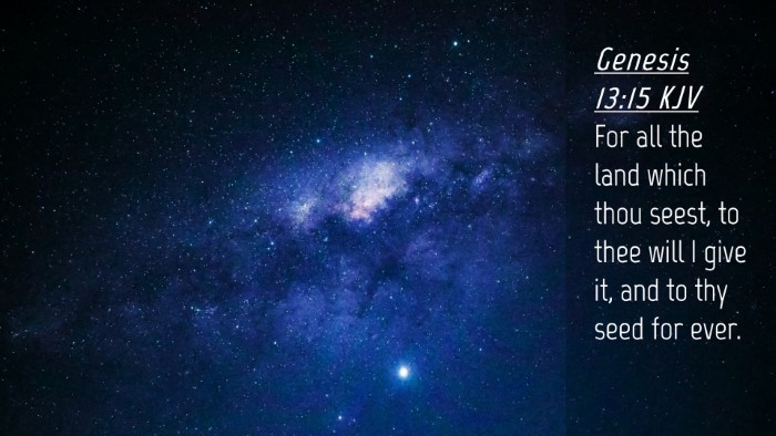 Picture 04 - Genesis 13:15 KJV Desktop Wallpaper - For all the land which thou seest, to thee will I - Desktop Bible Verse Wallpaper