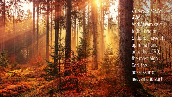 Picture 04 - Genesis 14:22 KJV Desktop Wallpaper - And Abram said to the king of Sodom, I have lift - Desktop Bible Verse Wallpaper