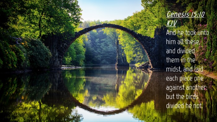 Picture 04 - Genesis 15:10 KJV Desktop Wallpaper - And he took unto him all these, and divided them - Desktop Bible Verse Wallpaper