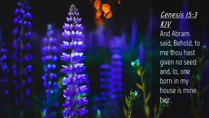 Picture 04 - Genesis 15:3 KJV Desktop Wallpaper - And Abram said, Behold, to me thou hast given no - Desktop Bible Verse Wallpaper