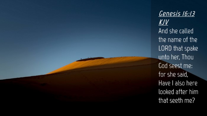 Picture 04 - Genesis 16:13 KJV Desktop Wallpaper - And she called the name of the LORD that spake - Desktop Bible Verse Wallpaper
