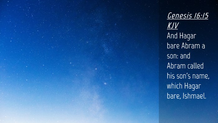 Picture 04 - Genesis 16:15 KJV Desktop Wallpaper - And Hagar bare Abram a son: and Abram called his - Desktop Bible Verse Wallpaper