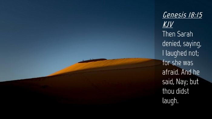 Picture 04 - Genesis 18:15 KJV Desktop Wallpaper - Then Sarah denied, saying, I laughed not; for she - Desktop Bible Verse Wallpaper