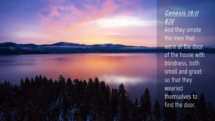 Picture 04 - Genesis 19:11 KJV Desktop Wallpaper - And they smote the men that were at the door of - Desktop Bible Verse Wallpaper