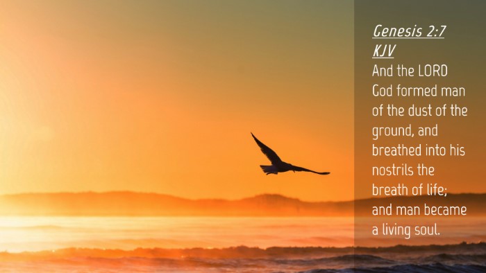 Picture 04 - Genesis 2:7 KJV Desktop Wallpaper - And the LORD God formed man of the dust of the - Desktop Bible Verse Wallpaper