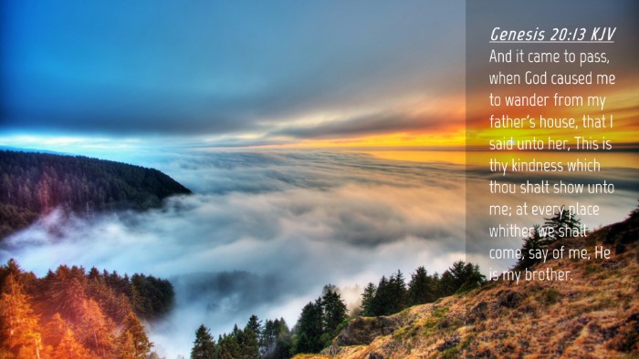 Picture 04 - Genesis 20:13 KJV Desktop Wallpaper - And it came to pass, when God caused me to wander - Desktop Bible Verse Wallpaper