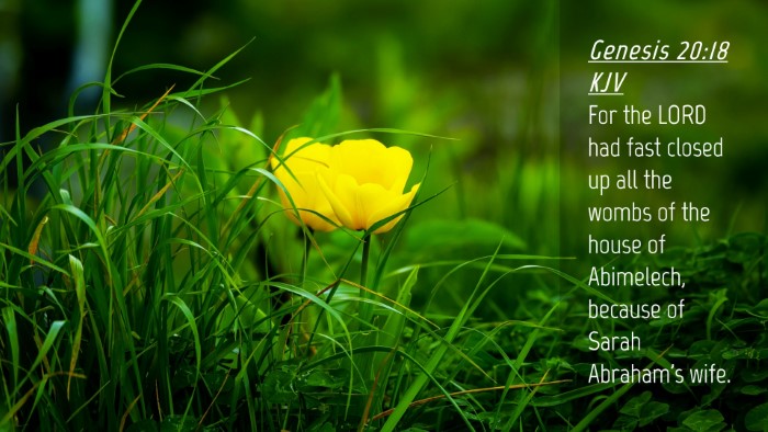 Picture 04 - Genesis 20:18 KJV Desktop Wallpaper - For the LORD had fast closed up all the wombs of - Desktop Bible Verse Wallpaper