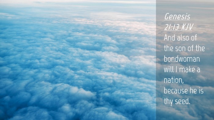 Picture 04 - Genesis 21:13 KJV Desktop Wallpaper - And also of the son of the bondwoman will I make - Desktop Bible Verse Wallpaper