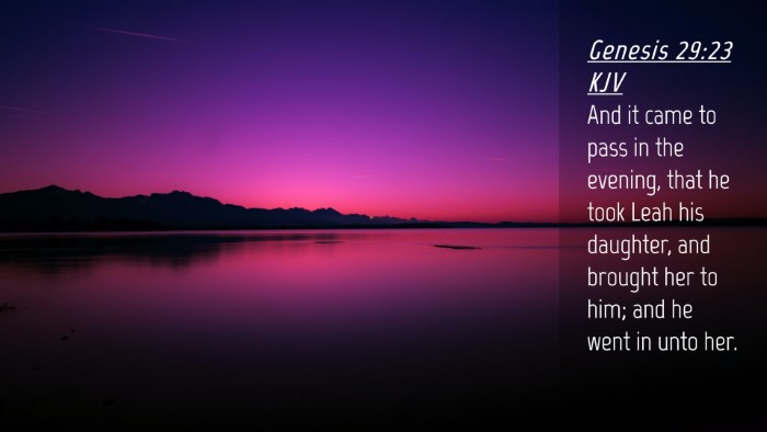Picture 04 - Genesis 29:23 KJV Desktop Wallpaper - And it came to pass in the evening, that he took - Desktop Bible Verse Wallpaper