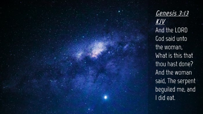 Picture 04 - Genesis 3:13 KJV Desktop Wallpaper - And the LORD God said unto the woman, What is - Desktop Bible Verse Wallpaper