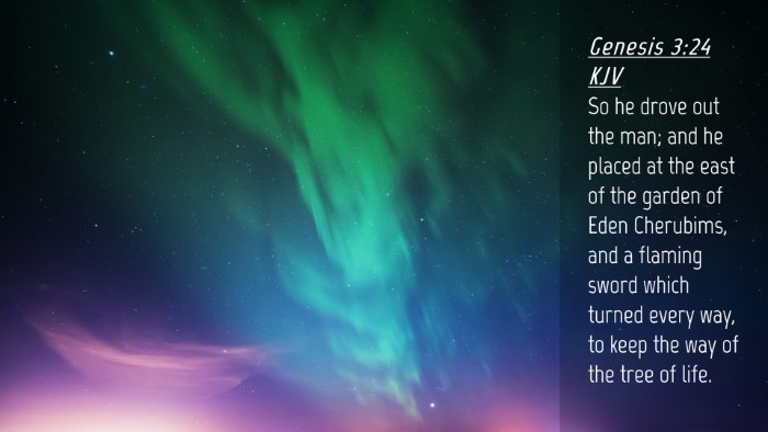 Picture 04 - Genesis 3:24 KJV Desktop Wallpaper - So he drove out the man; and he placed at the - Desktop Bible Verse Wallpaper