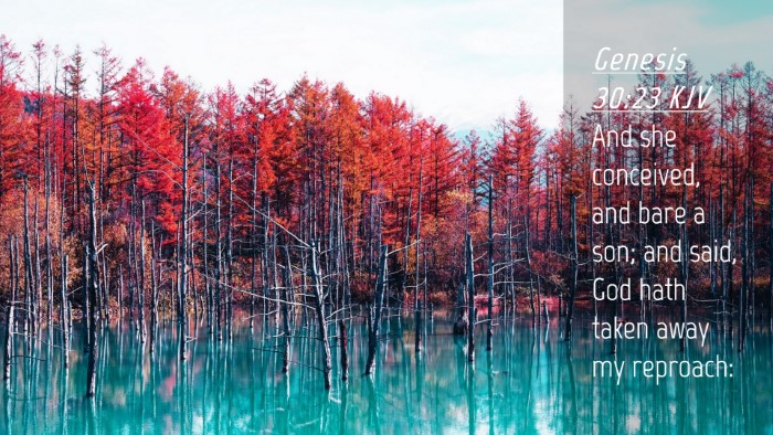 Picture 04 - Genesis 30:23 KJV Desktop Wallpaper - And she conceived, and bare a son; and said, God - Desktop Bible Verse Wallpaper