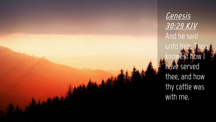 Picture 04 - Genesis 30:29 KJV Desktop Wallpaper - And he said unto him, Thou knowest how I have - Desktop Bible Verse Wallpaper