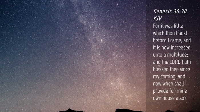 Picture 04 - Genesis 30:30 KJV Desktop Wallpaper - For it was little which thou hadst before I came, - Desktop Bible Verse Wallpaper