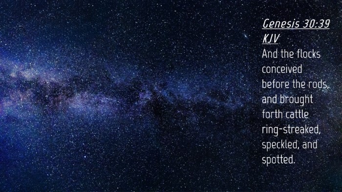 Picture 04 - Genesis 30:39 KJV Desktop Wallpaper - And the flocks conceived before the rods, and - Desktop Bible Verse Wallpaper