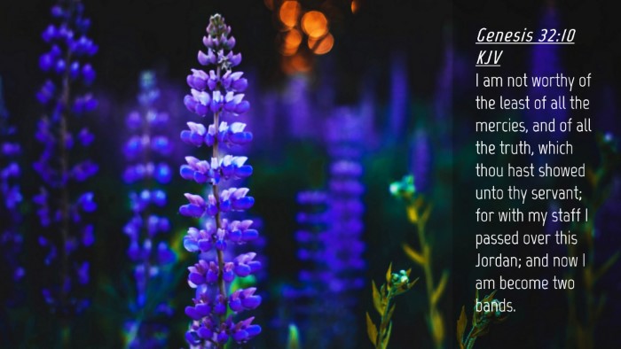 Picture 04 - Genesis 32:10 KJV Desktop Wallpaper - I am not worthy of the least of all the mercies, - Desktop Bible Verse Wallpaper