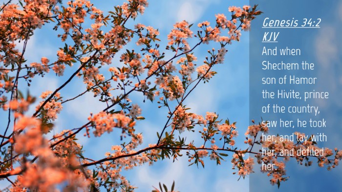 Picture 04 - Genesis 34:2 KJV Desktop Wallpaper - And when Shechem the son of Hamor the Hivite, - Desktop Bible Verse Wallpaper