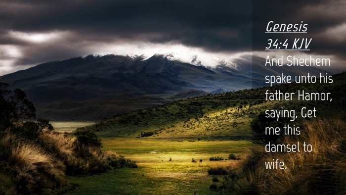 Picture 04 - Genesis 34:4 KJV Desktop Wallpaper - And Shechem spake unto his father Hamor, saying, - Desktop Bible Verse Wallpaper