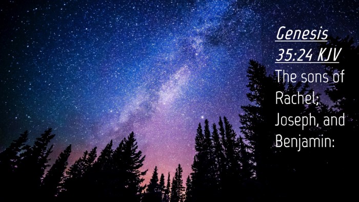 Picture 04 - Genesis 35:24 KJV Desktop Wallpaper - The sons of Rachel; Joseph, and - Desktop Bible Verse Wallpaper