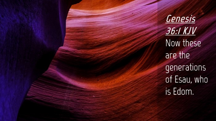 Picture 04 - Genesis 36:1 KJV Desktop Wallpaper - Now these are the generations of Esau, who is - Desktop Bible Verse Wallpaper