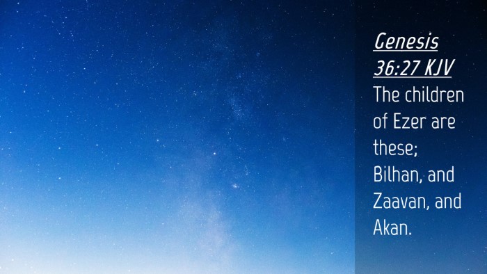Picture 04 - Genesis 36:27 KJV Desktop Wallpaper - The children of Ezer are these; Bilhan, and - Desktop Bible Verse Wallpaper
