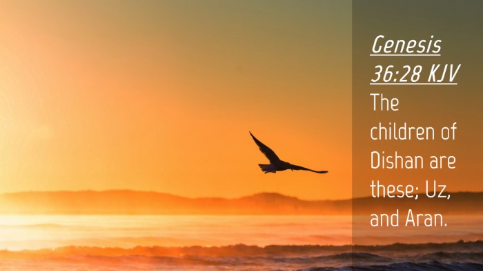 Picture 04 - Genesis 36:28 KJV Desktop Wallpaper - The children of Dishan are these; Uz, and - Desktop Bible Verse Wallpaper