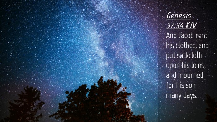 Picture 04 - Genesis 37:34 KJV Desktop Wallpaper - And Jacob rent his clothes, and put sackcloth - Desktop Bible Verse Wallpaper