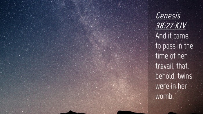 Picture 04 - Genesis 38:27 KJV Desktop Wallpaper - And it came to pass in the time of her travail, - Desktop Bible Verse Wallpaper
