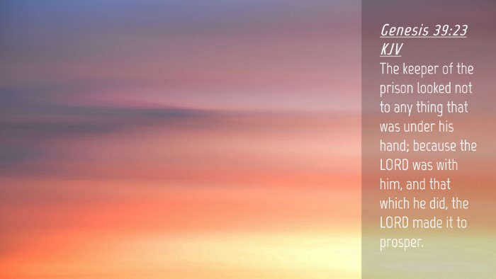 Picture 04 - Genesis 39:23 KJV Desktop Wallpaper - The keeper of the prison looked not to any thing - Desktop Bible Verse Wallpaper