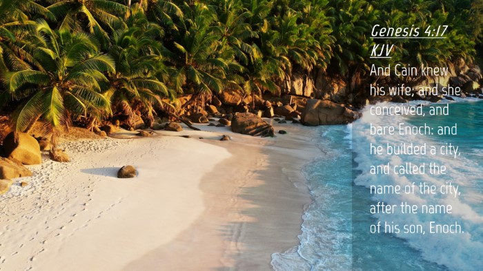 Picture 04 - Genesis 4:17 KJV Desktop Wallpaper - And Cain knew his wife; and she conceived, and - Desktop Bible Verse Wallpaper