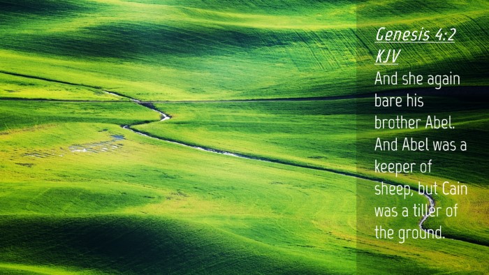 Picture 04 - Genesis 4:2 KJV Desktop Wallpaper - And she again bare his brother Abel. And Abel was - Desktop Bible Verse Wallpaper