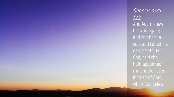 Picture 04 - Genesis 4:25 KJV Desktop Wallpaper - And Adam knew his wife again; and she bare a son, - Desktop Bible Verse Wallpaper