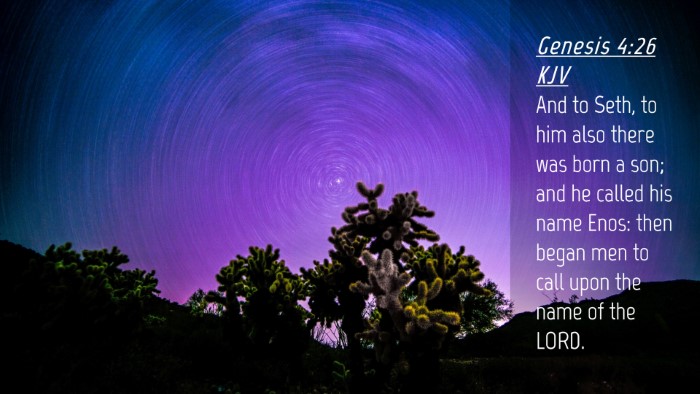 Picture 04 - Genesis 4:26 KJV Desktop Wallpaper - And to Seth, to him also there was born a son; - Desktop Bible Verse Wallpaper