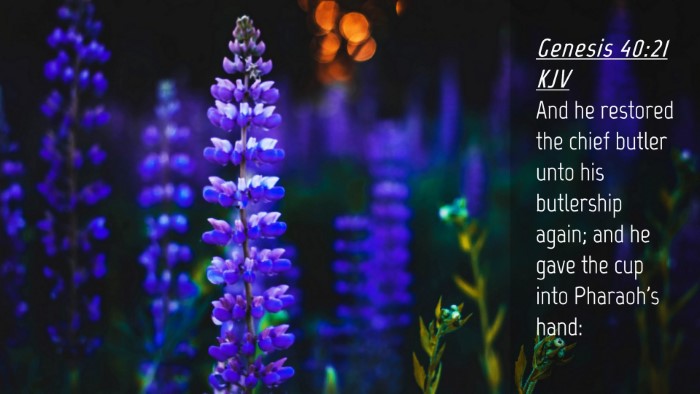 Picture 04 - Genesis 40:21 KJV Desktop Wallpaper - And he restored the chief butler unto his - Desktop Bible Verse Wallpaper