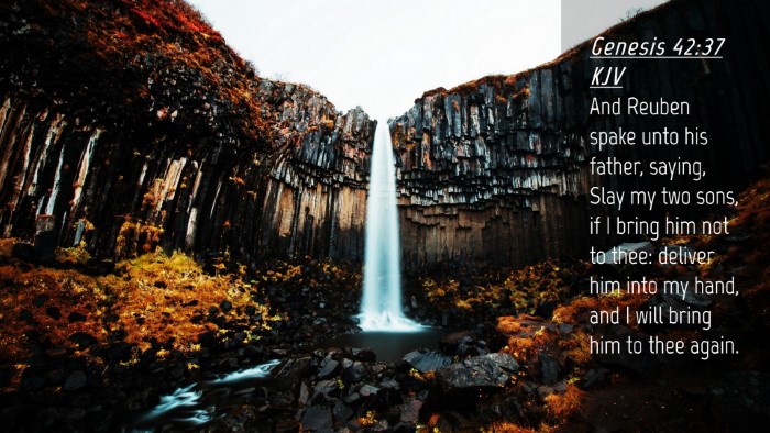Picture 04 - Genesis 42:37 KJV Desktop Wallpaper - And Reuben spake unto his father, saying, Slay my - Desktop Bible Verse Wallpaper