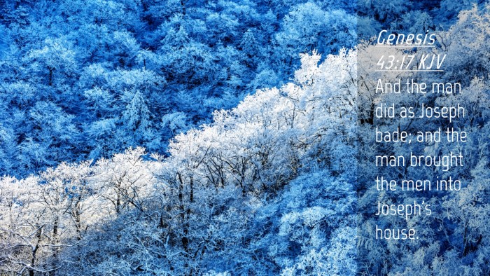 Picture 04 - Genesis 43:17 KJV Desktop Wallpaper - And the man did as Joseph bade; and the man - Desktop Bible Verse Wallpaper