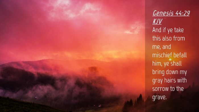 Picture 04 - Genesis 44:29 KJV Desktop Wallpaper - And if ye take this also from me, and mischief - Desktop Bible Verse Wallpaper