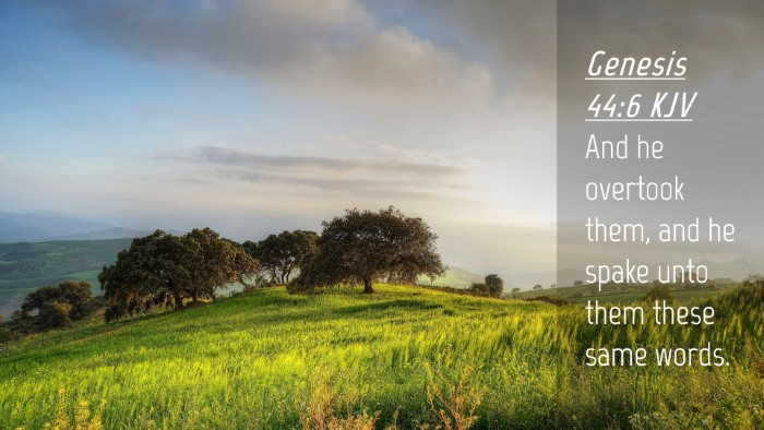 Picture 04 - Genesis 44:6 KJV Desktop Wallpaper - And he overtook them, and he spake unto them - Desktop Bible Verse Wallpaper